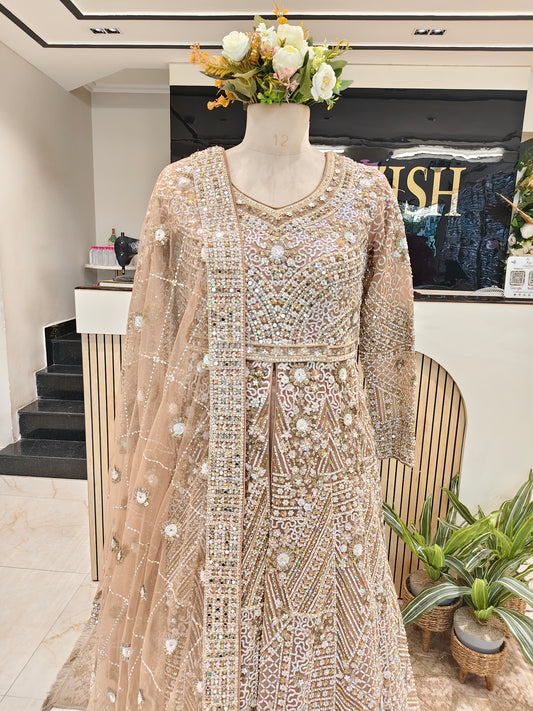 Beige Mirror Glow Net Anarkali
