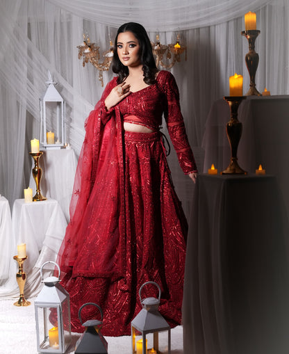Crimson Red Embellished Lehenga
