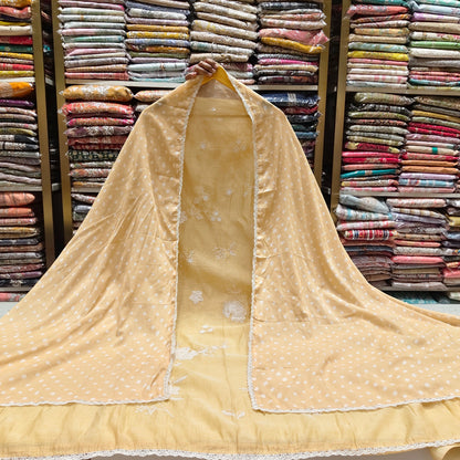 Mul Applique Work Suit