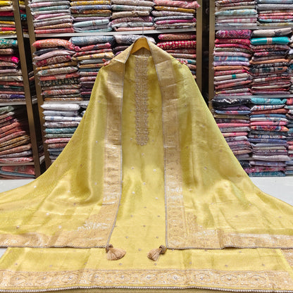 Tissue Suit with Dabka & Pull Work