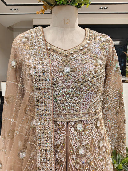 Beige Mirror Glow Net Anarkali