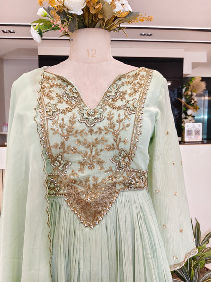 Pista Green Tissue Anarkali