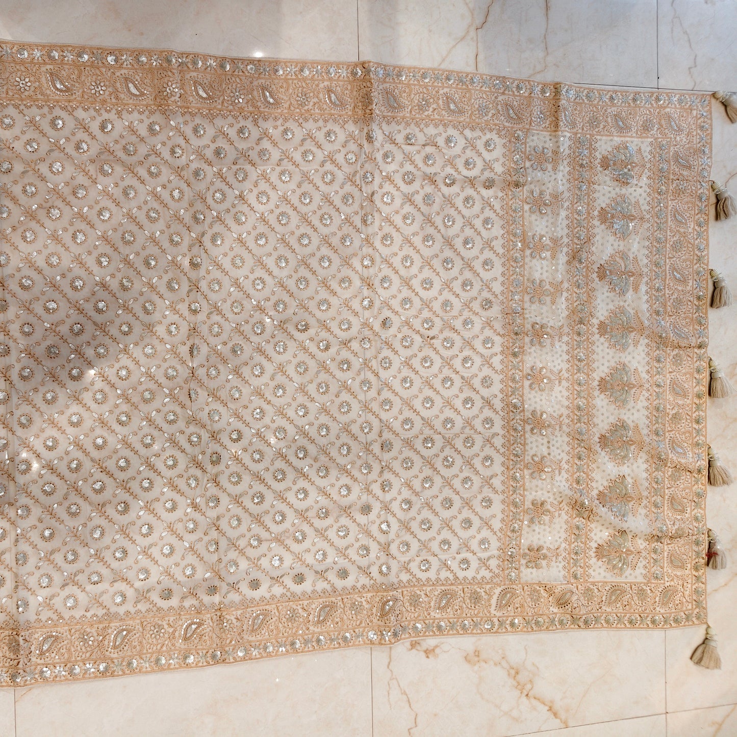 Cream Resham & Sequins Work Georgette Saree