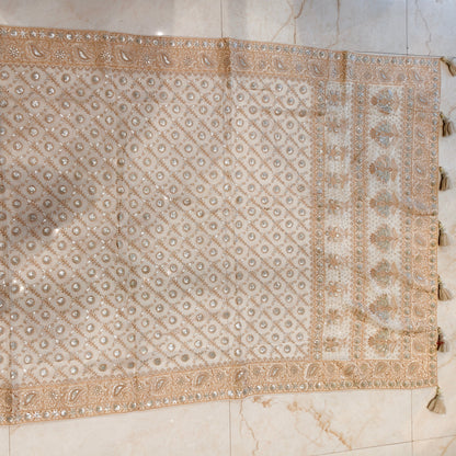 Cream Resham & Sequins Work Georgette Saree