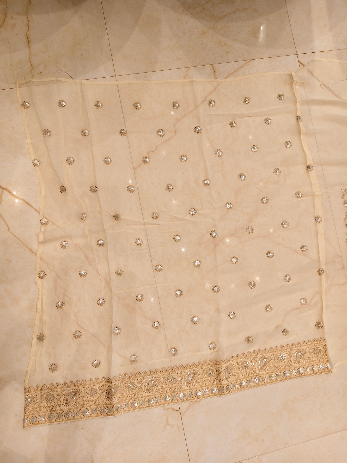 Cream Resham & Sequins Work Georgette Saree