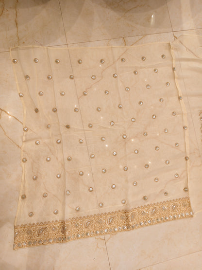 Cream Resham & Sequins Work Georgette Saree