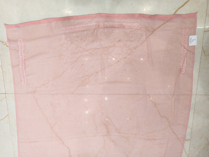 Baby Pink Resham & Stone Work Georgette Saree