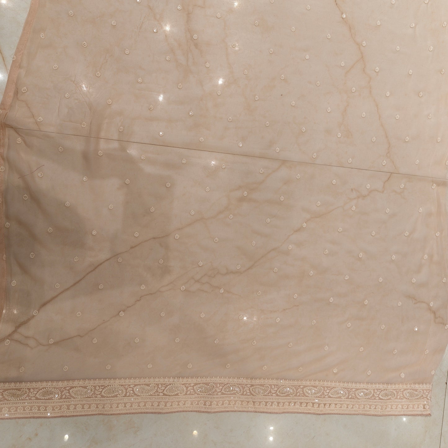 Baby Pink Bird Motif Chikankari Georgette Saree