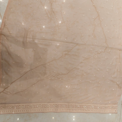 Baby Pink Bird Motif Chikankari Georgette Saree