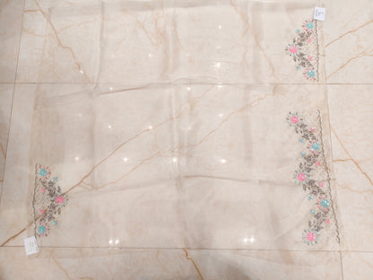 Cream Handwork Glass Tissue Saree