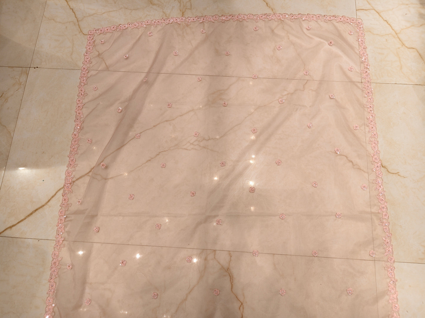 Baby Pink Handwork Organza Saree