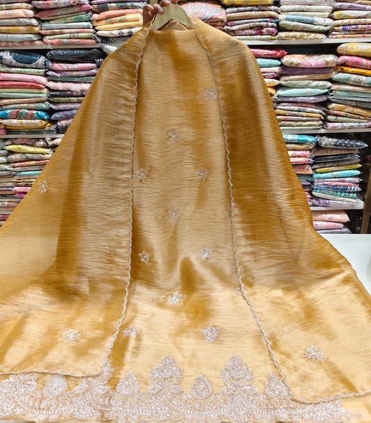 Golden Unstitched Suit
Crush Tissue Suit Set
Kutdana Work Suit
Dabka Work Suit
Designer Festive Suit