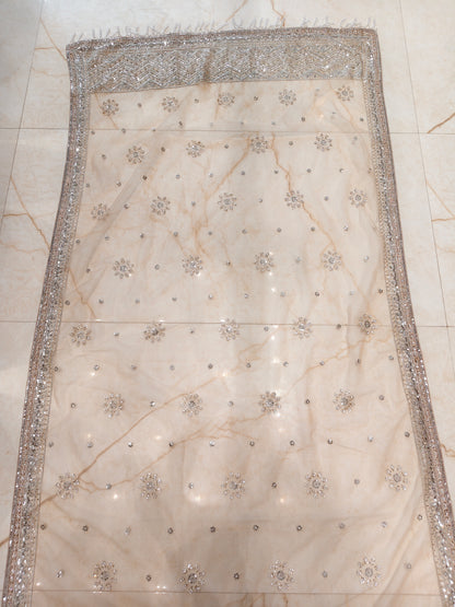 Beige Net Saree
