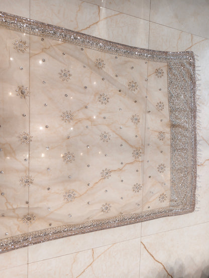 Beige Net Saree