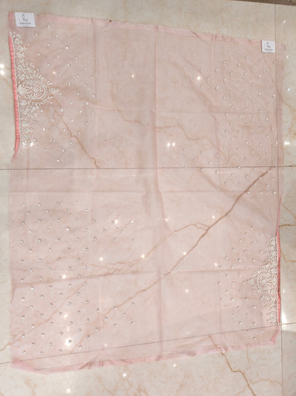 Baby Pink Organza Saree