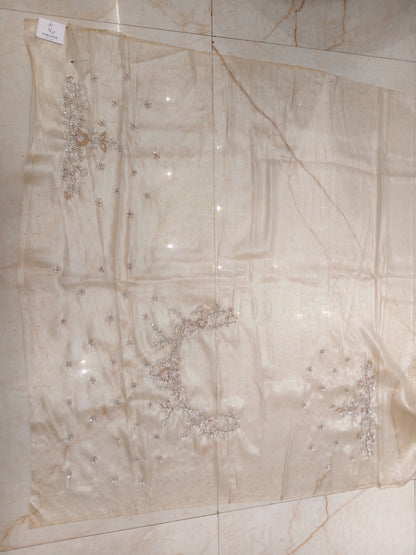 Golden Tissue Saree