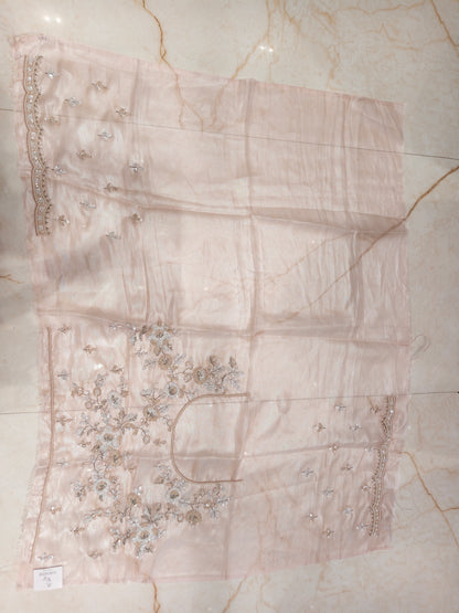 Baby Pink Tissue Saree