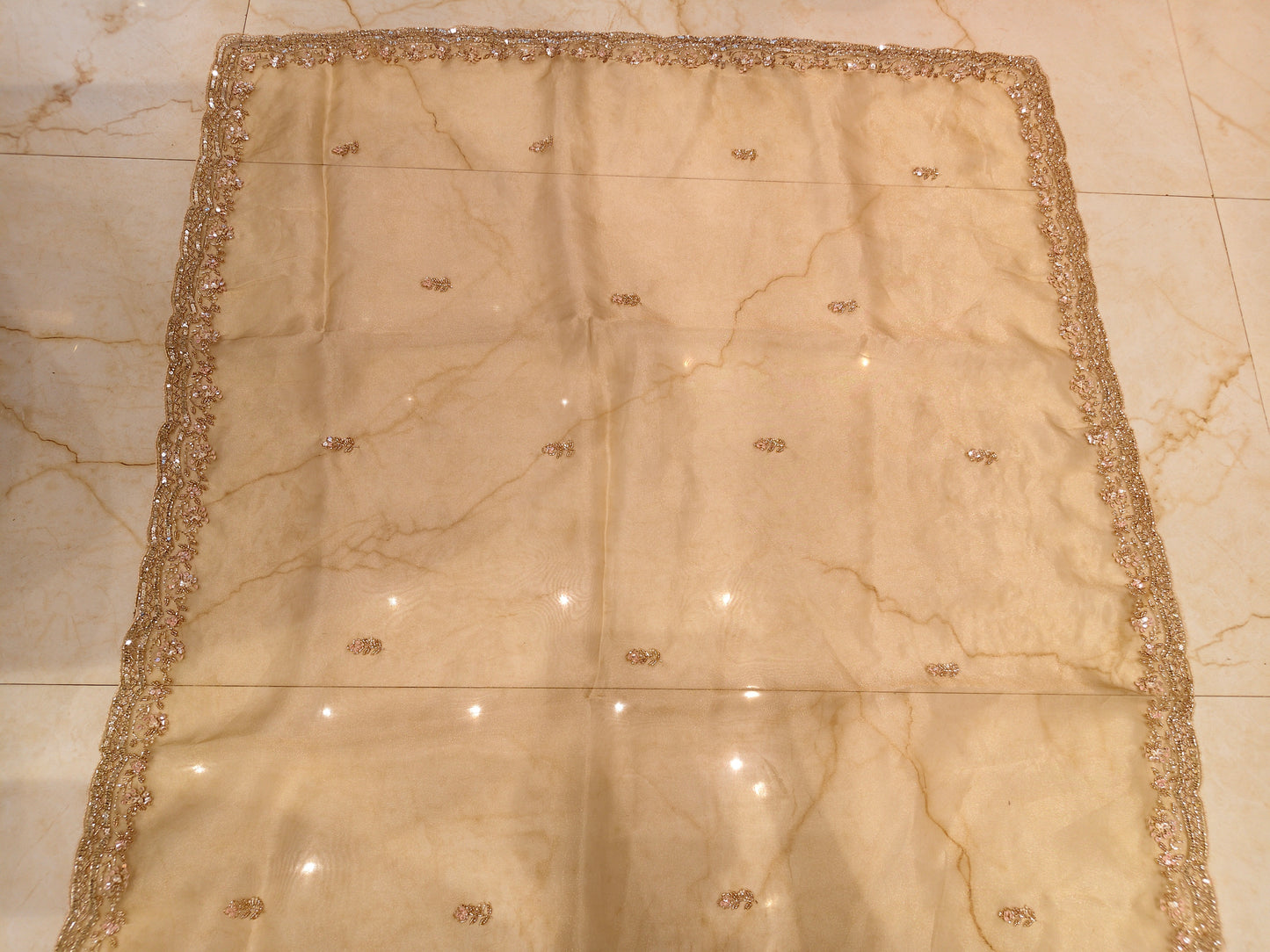 Golden Glass Tissue Saree