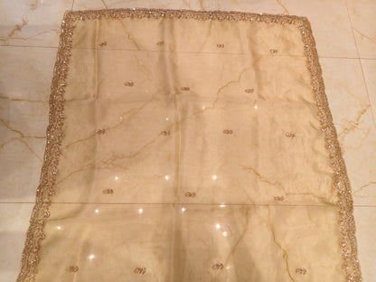 Golden Glass Tissue Saree