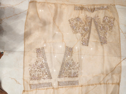 Golden Glass Tissue Saree