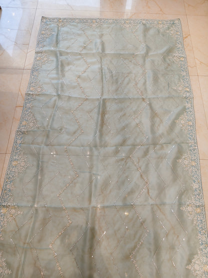 Sky Blue Organza Saree