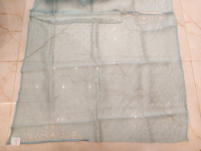 Sky Blue Organza Saree