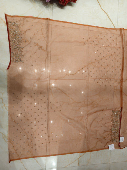 Rust Organza Saree