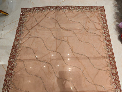Rust Organza Saree