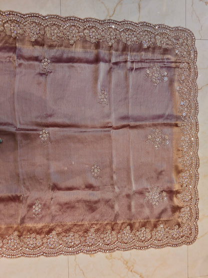 Onion Pink Tissue Saree