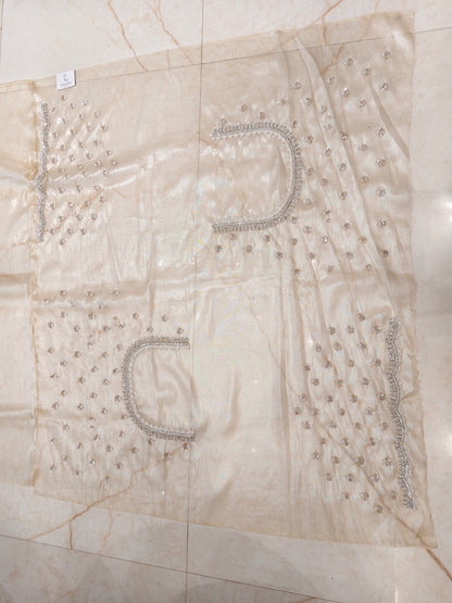 Cream Tissue Saree