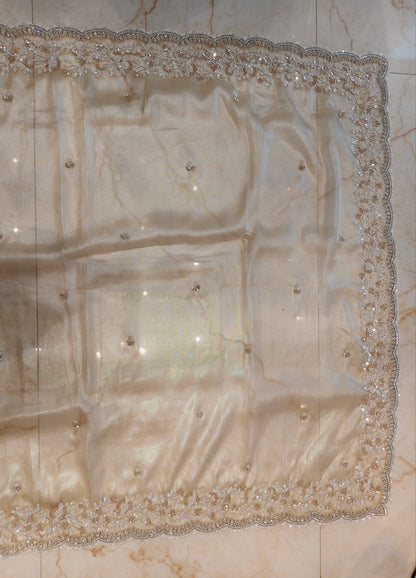 Cream Tissue Saree