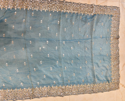 Sky Blue Tissue Saree