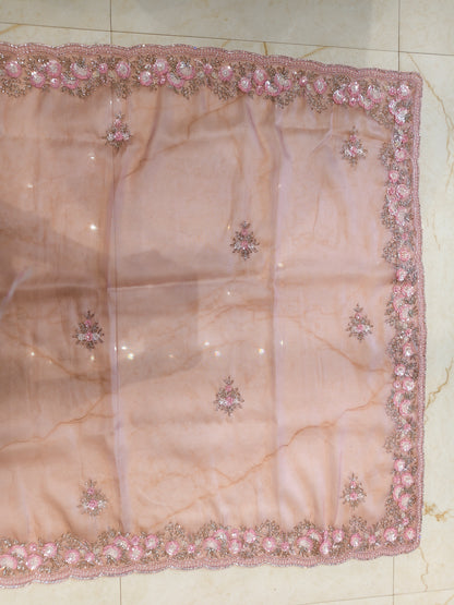 Pink Tissue Saree