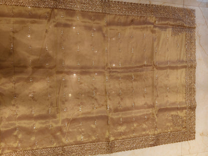 Rose Gold Tissue Saree