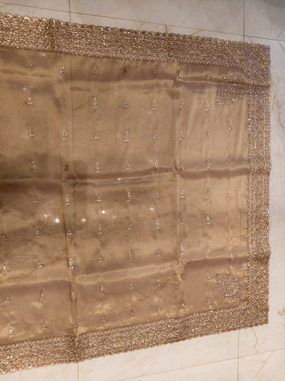 Rose Gold Tissue Saree