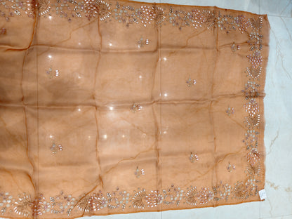 Rust Organza Saree