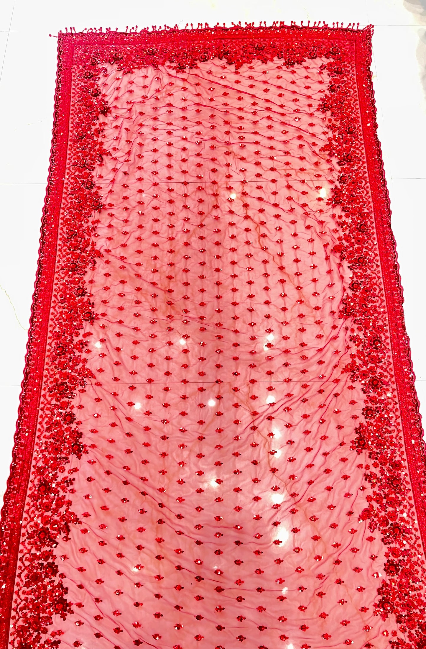 Stunning Red Net Saree with Sequins Zarkan & Katdana Work